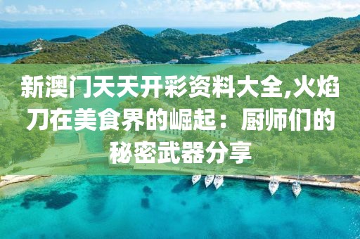 新澳门天天开彩资料大全,火焰刀在美食界的崛起：厨师们的秘密武器分享