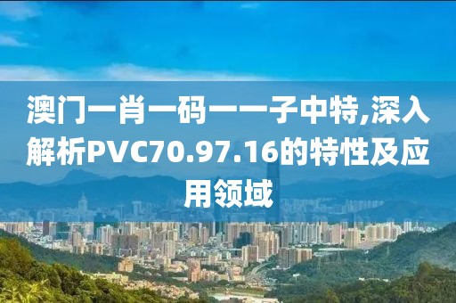 澳门一肖一码一一子中特,深入解析PVC70.97.16的特性及应用领域