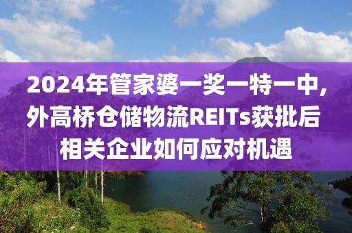 2024年管家婆一奖一特一中,外高桥仓储物流REITs获批后 相关企业如何应对机遇