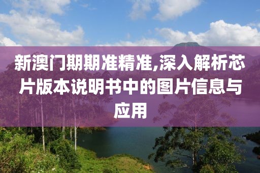 新澳门期期准精准,深入解析芯片版本说明书中的图片信息与应用
