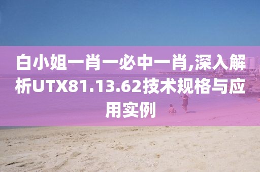 白小姐一肖一必中一肖,深入解析UTX81.13.62技术规格与应用实例