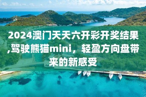 2024澳门天天六开彩开奖结果,驾驶熊猫mini，轻盈方向盘带来的新感受