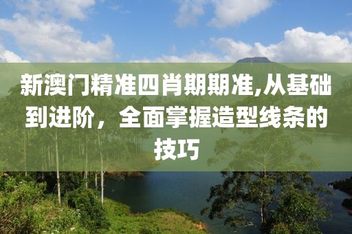 新澳门精准四肖期期准,从基础到进阶，全面掌握造型线条的技巧
