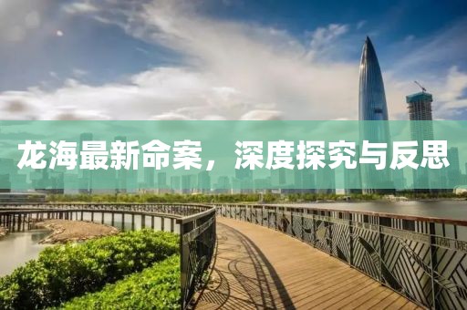 龙海最新命案，深度探究与反思