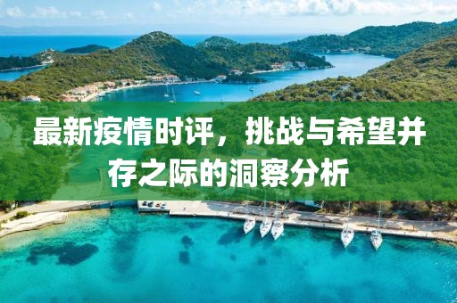 最新疫情时评，挑战与希望并存之际的洞察分析