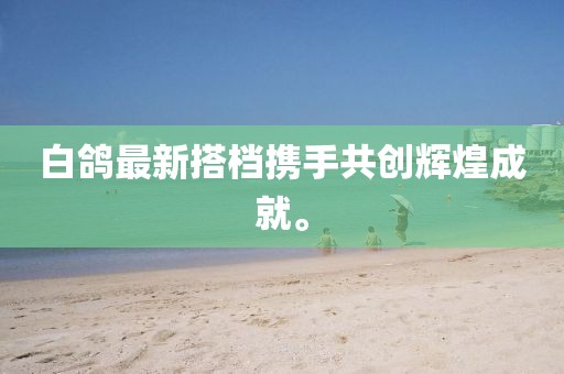 白鸽最新搭档携手共创辉煌成就。