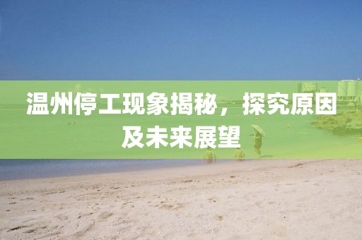 温州停工现象揭秘，探究原因及未来展望