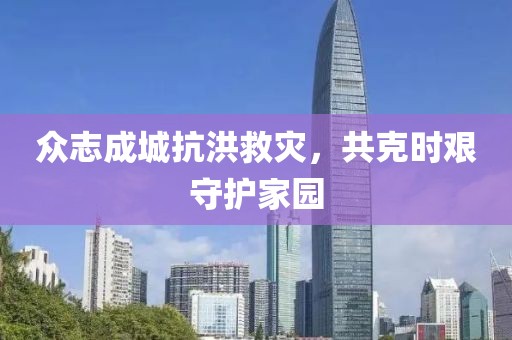 众志成城抗洪救灾，共克时艰守护家园