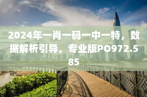2024年一肖一码一中一特，数据解析引导，专业版PO972.585