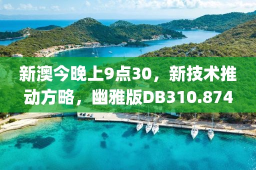 新澳今晚上9点30，新技术推动方略，幽雅版DB310.874