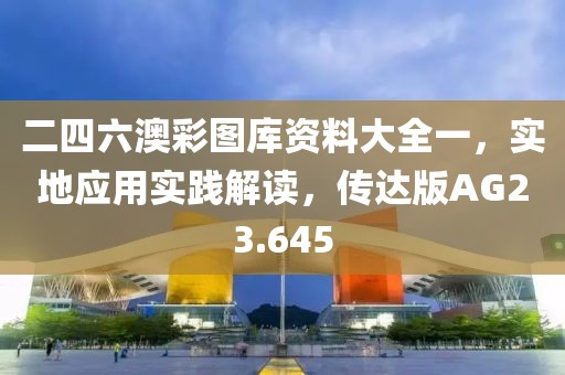 二四六澳彩图库资料大全一，实地应用实践解读，传达版AG23.645