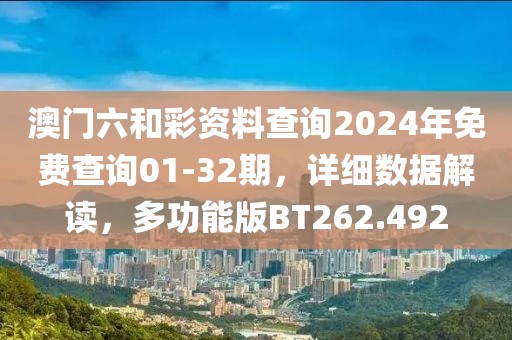 澳门六和彩资料查询2024年免费查询01-32期，详细数据解读，多功能版BT262.492