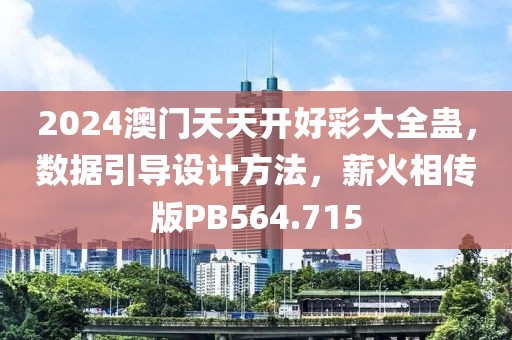 2024澳门天天开好彩大全蛊，数据引导设计方法，薪火相传版PB564.715