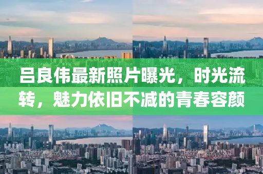 吕良伟最新照片曝光，时光流转，魅力依旧不减的青春容颜