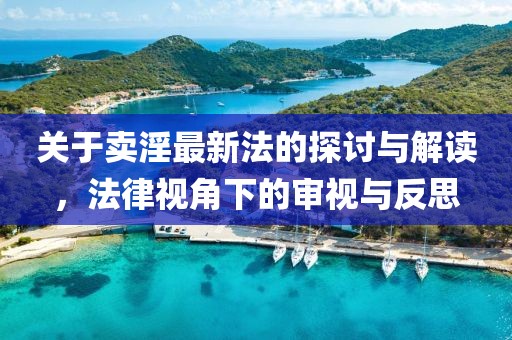 关于卖淫最新法的探讨与解读，法律视角下的审视与反思