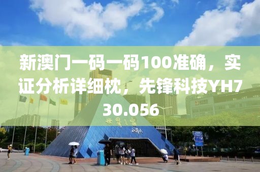 新澳门一码一码100准确，实证分析详细枕，先锋科技YH730.056