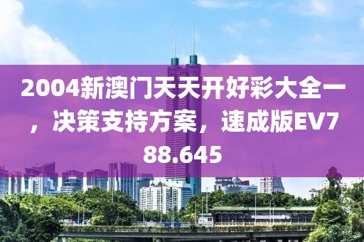 2004新澳门天天开好彩大全一，决策支持方案，速成版EV788.645