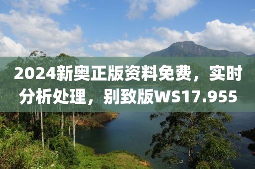 2024新奥正版资料免费，实时分析处理，别致版WS17.955