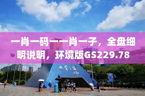 一肖一码一一肖一子，全盘细明说明，环境版GS229.78