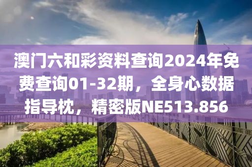 澳门六和彩资料查询2024年免费查询01-32期，全身心数据指导枕，精密版NE513.856