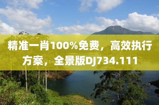 精准一肖100%免费，高效执行方案，全景版DJ734.111