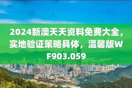 2024新澳天天资料免费大全，实地验证策略具体，温馨版WF903.059