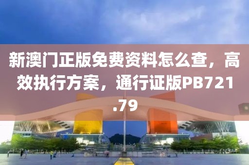 新澳门正版免费资料怎么查，高效执行方案，通行证版PB721.79
