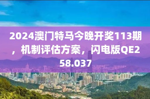 2024澳门特马今晚开奖113期，机制评估方案，闪电版QE258.037