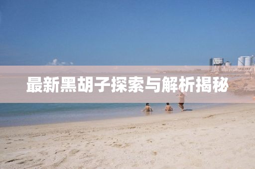 最新黑胡子探索与解析揭秘