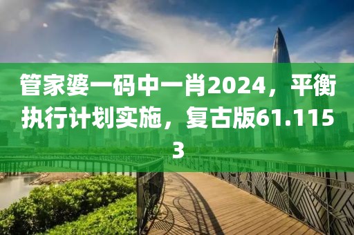 管家婆一码中一肖2024，平衡执行计划实施，复古版61.1153