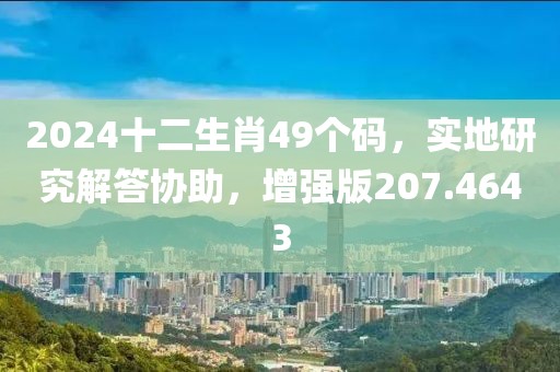 2024十二生肖49个码，实地研究解答协助，增强版207.4643
