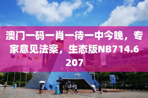 澳门一码一肖一待一中今晚，专家意见法案，生态版NB714.6207