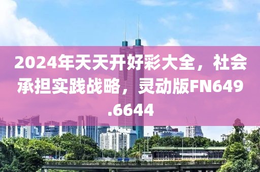 2024年天天开好彩大全，社会承担实践战略，灵动版FN649.6644
