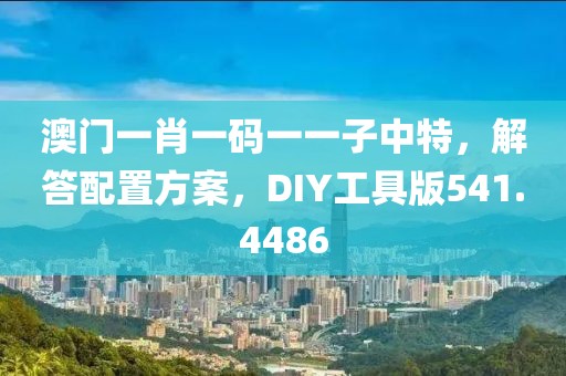 澳门一肖一码一一子中特，解答配置方案，DIY工具版541.4486