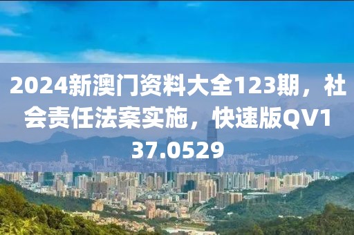 2024新澳门资料大全123期，社会责任法案实施，快速版QV137.0529