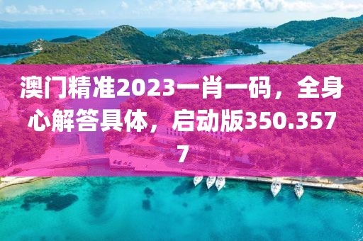 澳门精准2023一肖一码，全身心解答具体，启动版350.3577