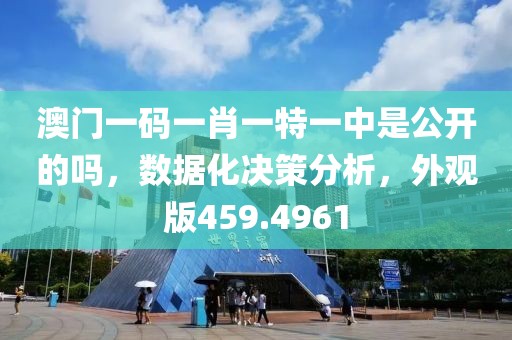 澳门一码一肖一特一中是公开的吗，数据化决策分析，外观版459.4961
