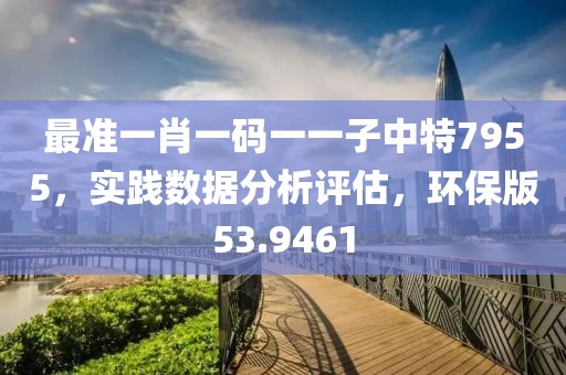 最准一肖一码一一子中特7955，实践数据分析评估，环保版53.9461