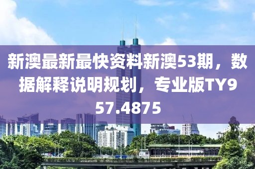 新澳最新最快资料新澳53期，数据解释说明规划，专业版TY957.4875