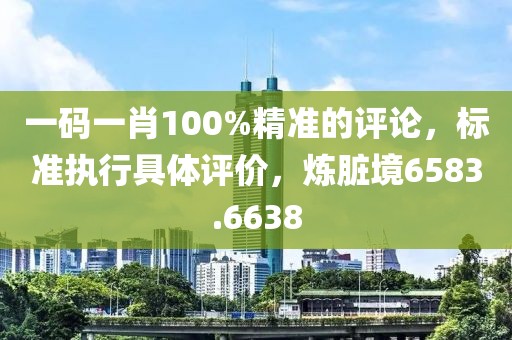 一码一肖100%精准的评论，标准执行具体评价，炼脏境6583.6638