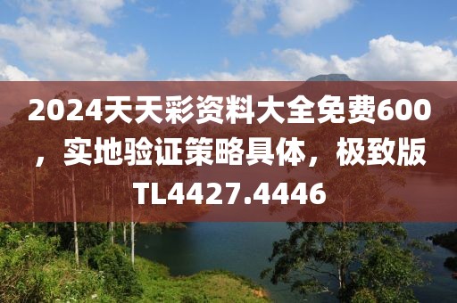 2024天天彩资料大全免费600，实地验证策略具体，极致版TL4427.4446