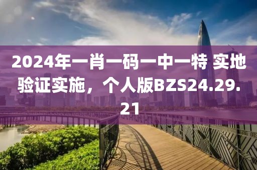 2024年一肖一码一中一特 实地验证实施，个人版BZS24.29.21