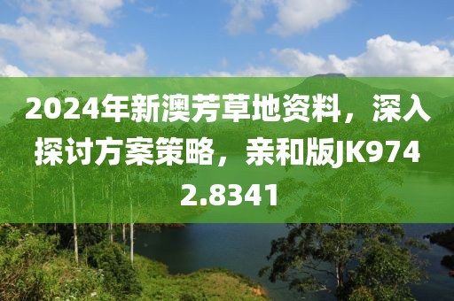 2024年新澳芳草地资料，深入探讨方案策略，亲和版JK9742.8341