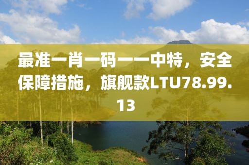 最准一肖一码一一中特，安全保障措施，旗舰款LTU78.99.13