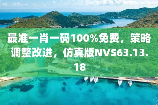 最准一肖一码100%免费，策略调整改进，仿真版NVS63.13.18