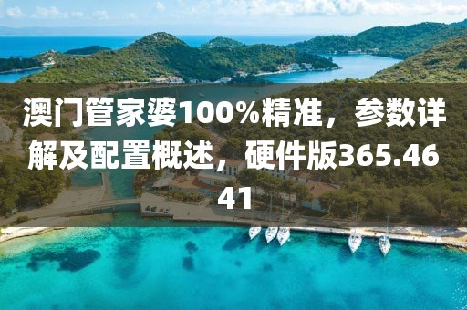 澳门管家婆100%精准，参数详解及配置概述，硬件版365.4641