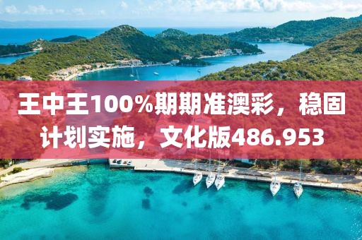王中王100%期期准澳彩，稳固计划实施，文化版486.953