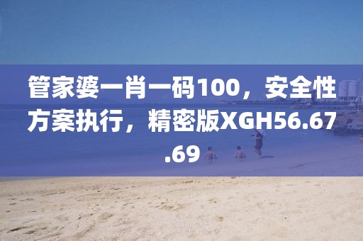 管家婆一肖一码100，安全性方案执行，精密版XGH56.67.69
