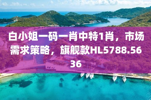 白小姐一码一肖中特1肖，市场需求策略，旗舰款HL5788.5636