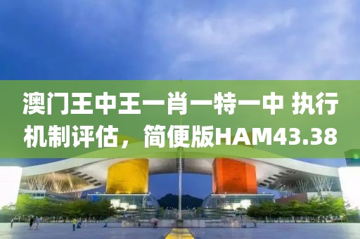 澳门王中王一肖一特一中 执行机制评估，简便版HAM43.38